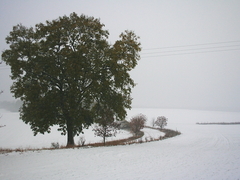 Killikus&reg; Fotographie